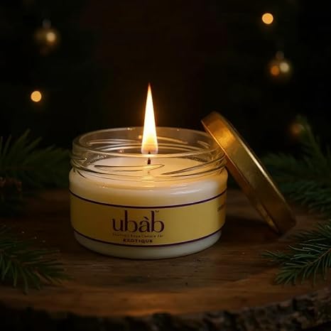 Handcrafted Limited Edition Gift Pack I Scented Glass Jar Candle I Eco-Friendly Premium Soy Wax I Exotique Fragrance I 120 gm Each I Long Burning I Upto 40 HRS Burn Time (Woody)