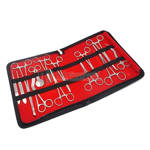 IS IndoSurgicals Stainless Steel Delivery Instrument Kit/Set,Silver