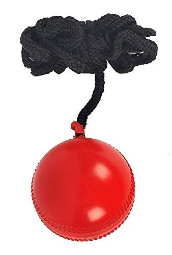 Training Ball Cricket (Red)